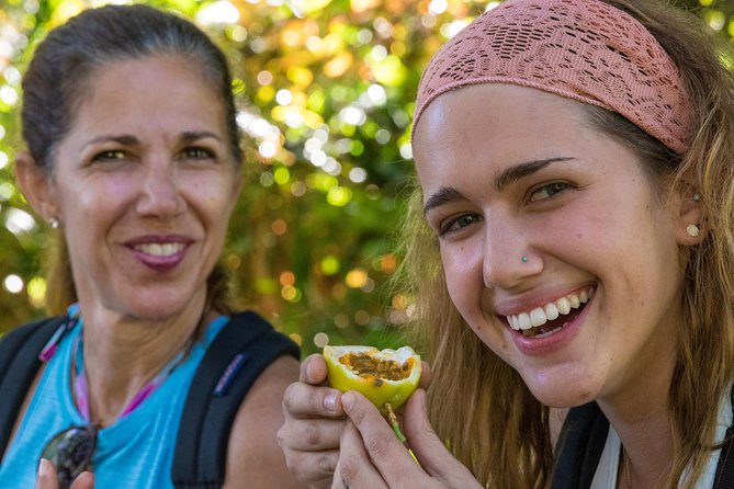 Small Group Waterfall and Rainforest Hiking Adventure on Maui - Excellent Tour Guide