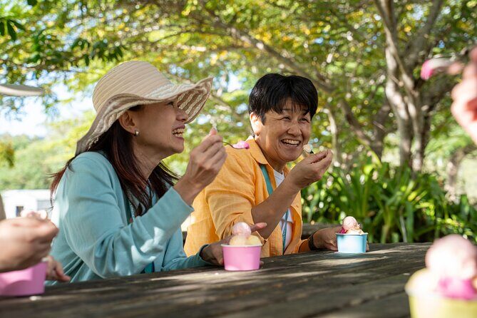 Small Group Waterfall Wetlands+ Skyrail All Inclusive from Cairns - Good To Know
