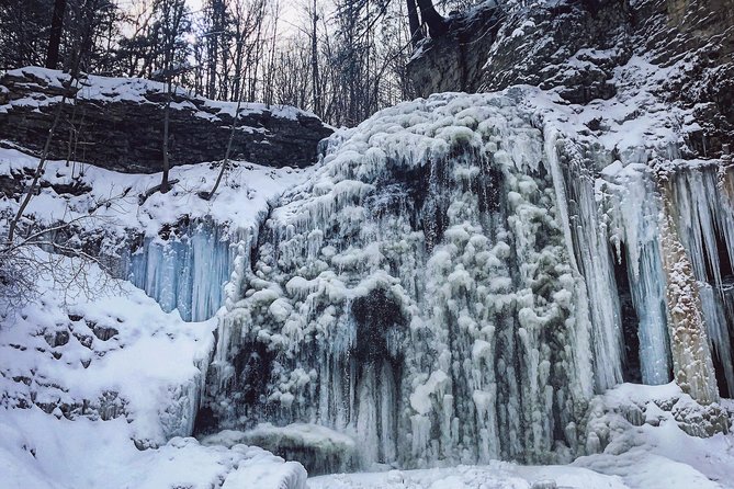 Small-Group Waterfalls Tour From Toronto, Niagara Escarpment - Common Questions
