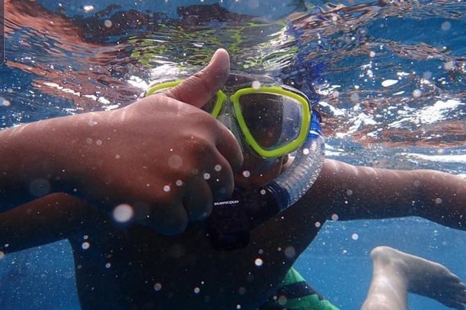 Small-Group Whale and Dolphin-Watching Tour by Catamaran - Tenerife - Tour Pricing and Inclusions