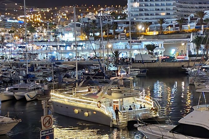 Small-Group Whale and Dolphin-Watching Tour by Catamaran  - Tenerife - Cancellation Policy and Refunds