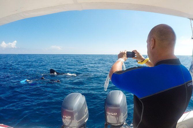 Small Group Whale Shark Encounter - 10 years in business - FAQ