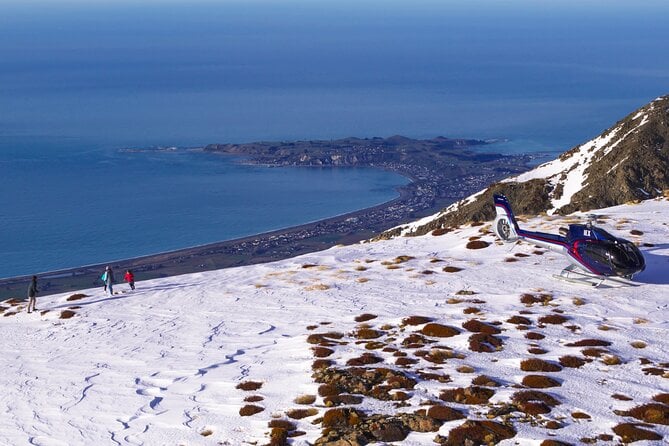 Small-Group Whale-Watching Flight: Kaikoura From Christchurch - Common Questions