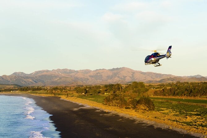 Small-Group Whale-Watching Flight: Kaikoura From Christchurch - The Sum Up