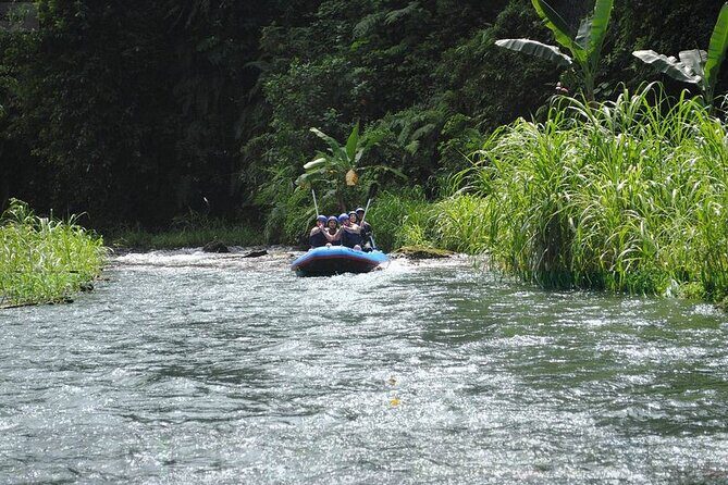 Small-Group White Water Rafting in Bali - The Itinerary in Detail