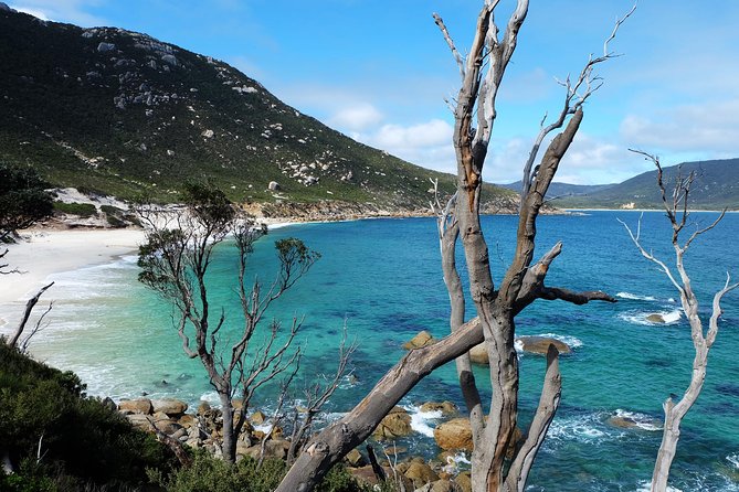 Small Group - Wilsons Promontory Hiking Day Tour From Melbourne - Additional Information