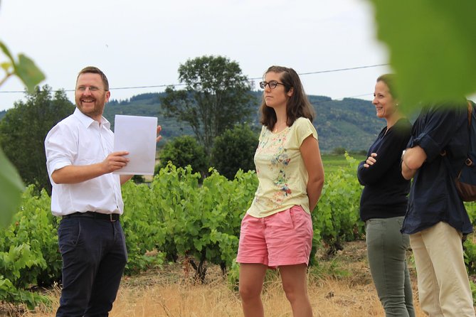 Small-Group Wine and Cheese Tasting in Villié-Morgon  - Lyon - Additional Information