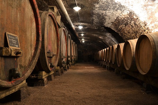 Small-Group Wine and Cheese Tasting in Villié-Morgon  - Lyon - Tour Highlights