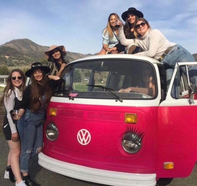 Small Group Wine Country Tour on Vintage VW Bus - Live Tour Guide and Small Group Setting