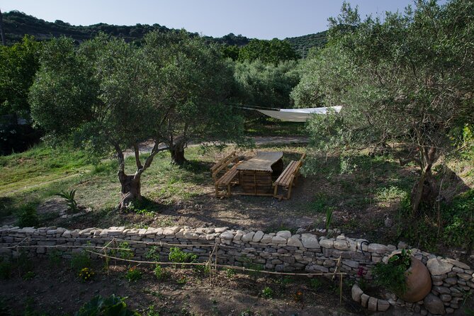 Small-Group Wine Tasting Activity in West Chania - Group Size and Service Focus