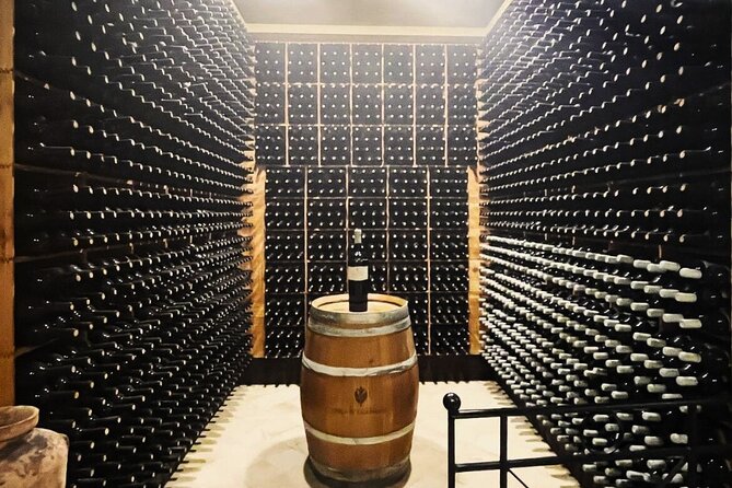 Small Group Wine Tasting Experience From Palermo - The Sum Up