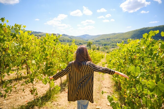 Small-Group Wine Tasting Experience in The Chianti Countryside - Tour Guide and Organization Issues