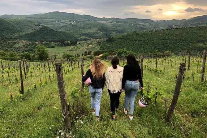 Small Group Wine Tasting in Tuscany With Vineyard Visit - The Sum Up