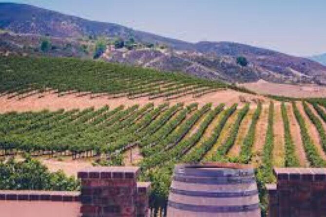 Small Group Wine Tour to Temecula from Los Angeles - An In-Depth Look at the Temecula Small Group Tour  