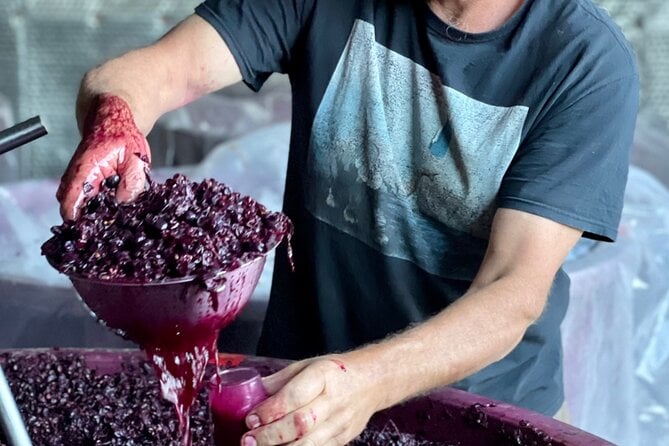 Small-Group Winery and Restaurant Tour, McLaren Vale - Inclusions