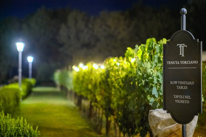 Small-Group Winery Tour With Tasting and Dinner in Chianti Vineyards - Wine Tasting Experience