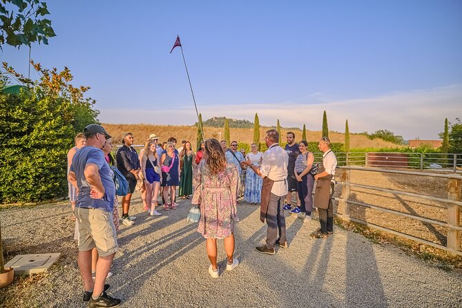 Small-Group Winery Tour With Tasting and Dinner in Chianti Vineyards - Traditional Dinner in the Vineyards