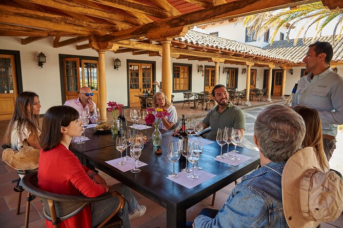 Small Group Wines and Flavours Guided Walking Tour - MontGras Winery Visit