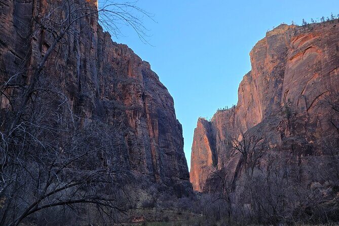 Small Group Zion National Park Hiking Tour from Las Vegas - The Experience: What Travelers Say
