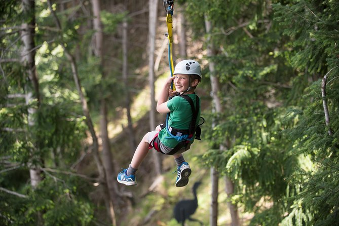 Small-Group Zipline Adventure in Queenstown - Guide Expertise and Safety Measures