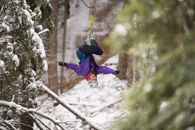 Small-Group Zipline Adventure in Queenstown - The Sum Up