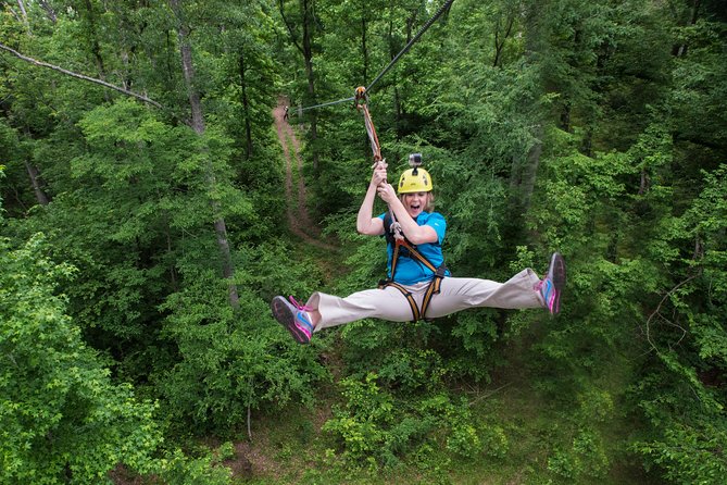 Small-Group Zipline Tour in Hot Springs - Overview and Tour Details