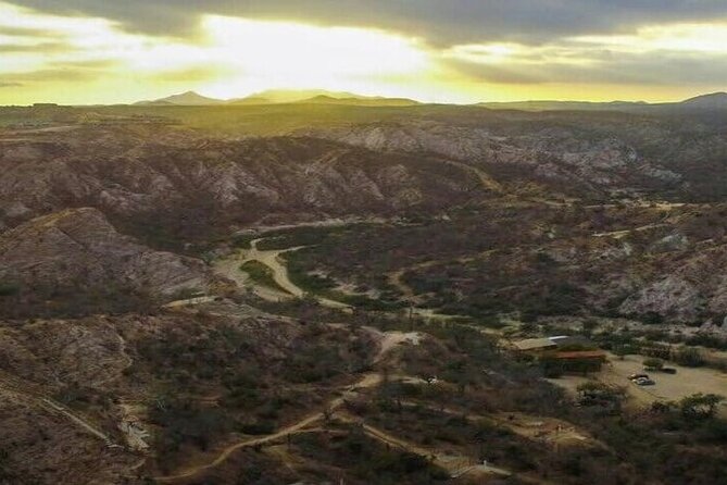 Small-Group Ziplining Adventure, Los Cabos  - San Jose Del Cabo - The Sum Up