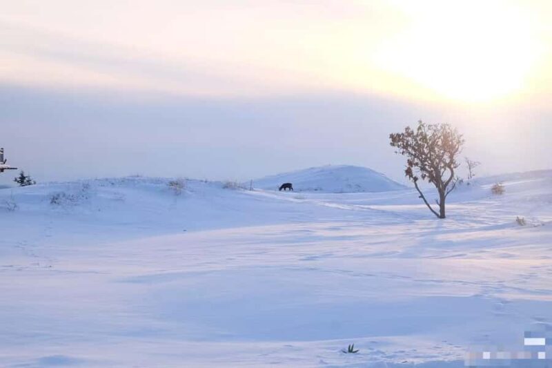 Small GroupA 4-day exploration of Eastern Hokkaido - FAQ