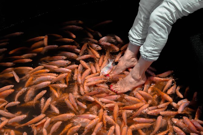 Small Miracle (15 Days) - Traveler Information