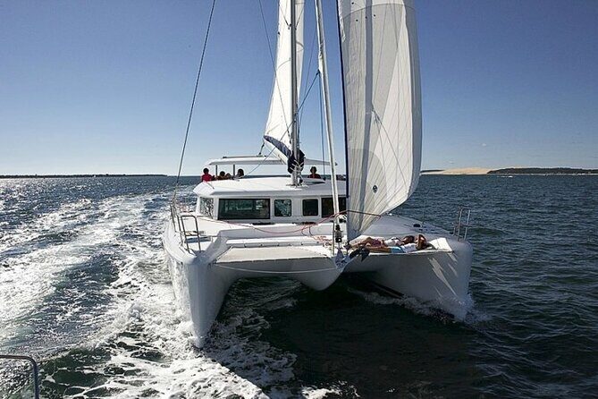 Small Private Catamaran Sunset Tours in San Diego - The Scenic Route: From Coronado to the Ocean