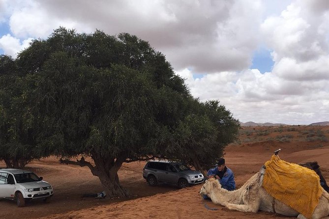 SMALL SAHARA & SILVER CITY- MASSA & TIZNIT IN 4x4 WITH LUNCH IN BERBER STYLE - 4x4 Adventure
