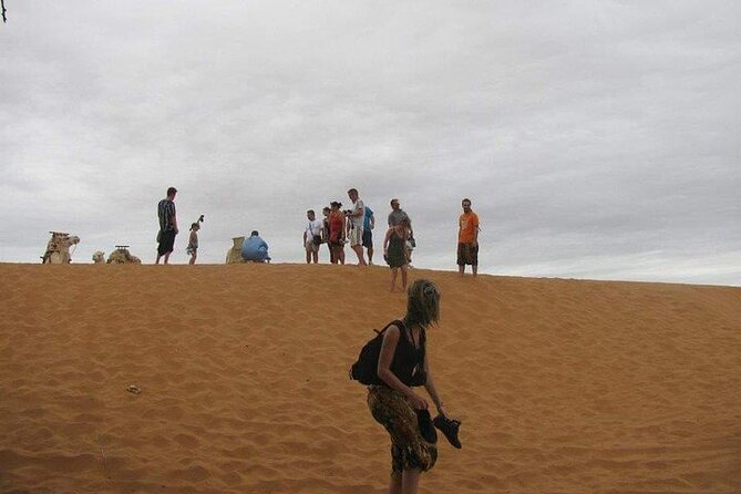 Small Sahara Trip 1 Day by Jeep - Booking Information