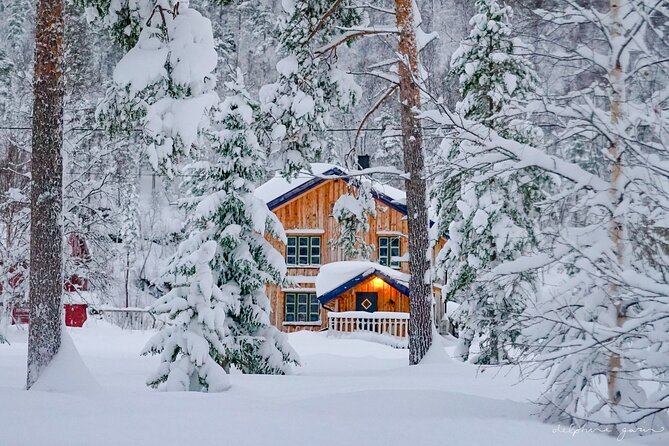 Small-Scale Husky Sledding off the Beaten Track - Capturing Memories: Traveler Photos