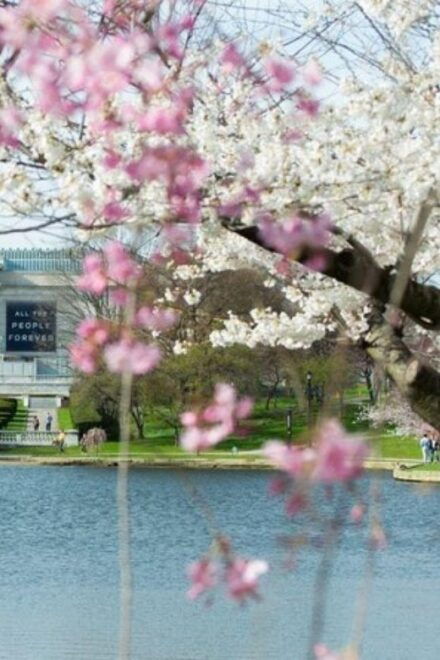 Smartphone-Guided Walking Tour of University Circle - Frequently Asked Questions
