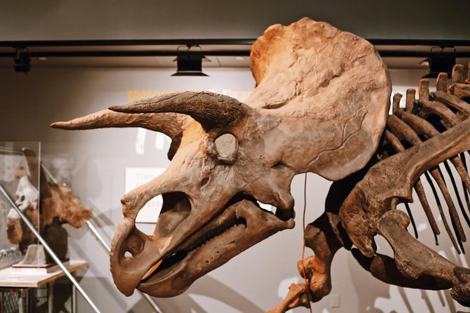 Smithsonian Museum of Natural History Guided Tour - Semi-Private 8ppl Max - Overview of the Tour