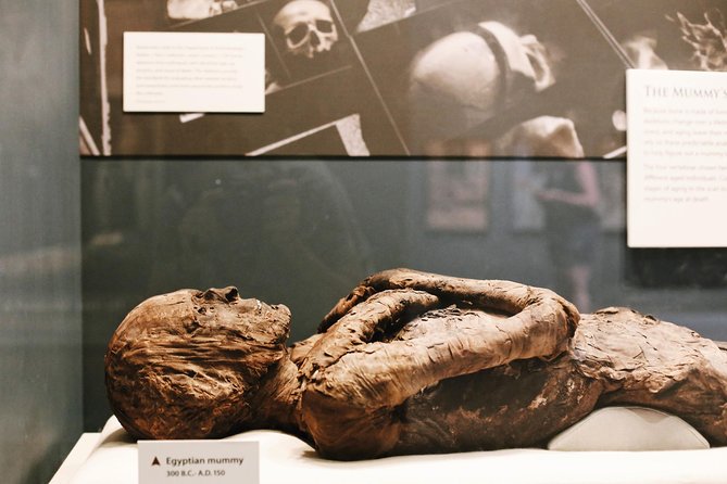 Smithsonian Museum of Natural History Guided Tour - Semi-Private 8ppl Max - Meeting and End Points