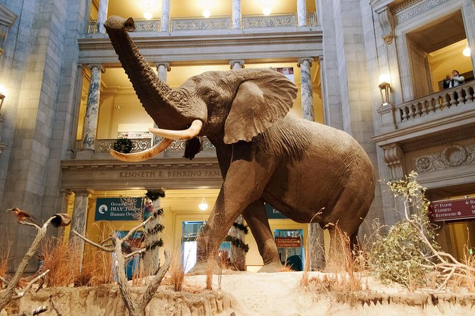 Smithsonian Museum of Natural History - Private Guided Museum Tour - Pricing and Booking