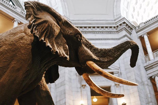Smithsonian Museum of Natural History - Private Guided Museum Tour - Subtopic 1: Tour Details