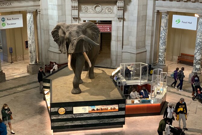 Smithsonian National Museum of Natural History 2H-Guided Tour - Extensive Collection of Natural History Specimens
