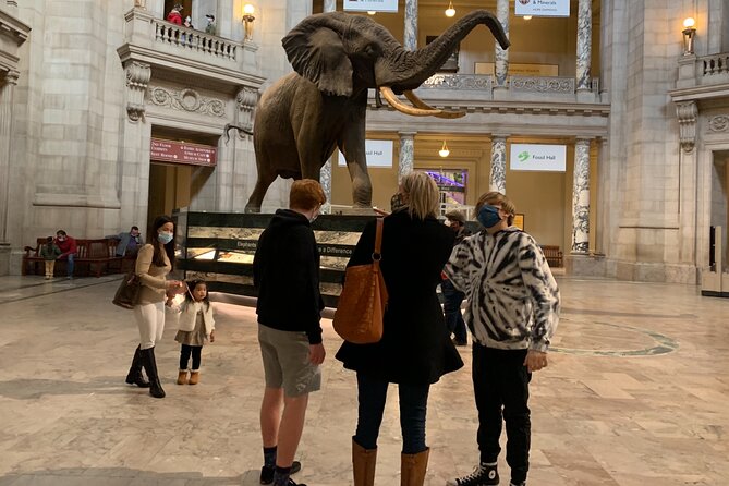 Smithsonian National Museum of Natural History 2H-Guided Tour - Whats Included in the Tour