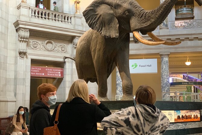 Smithsonian National Museum of Natural History 2H-Guided Tour - The Sum Up