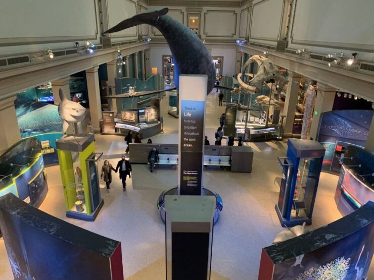 Smithsonian National Museum of Natural History Guided Tour - Tour Duration and Guide Availability