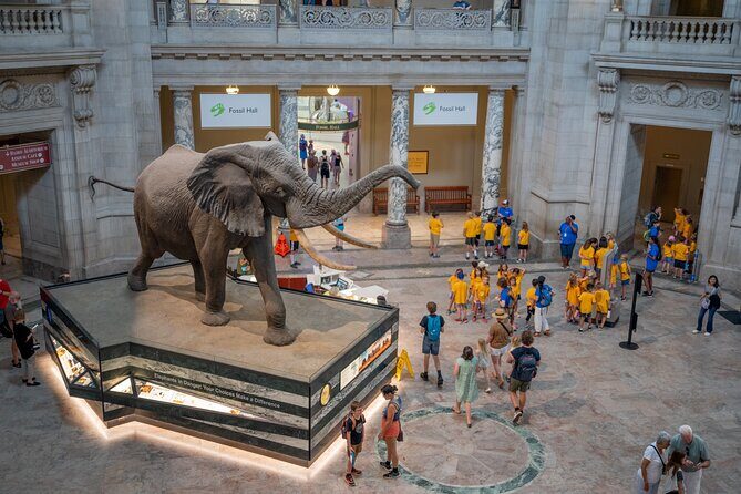 Smithsonian Natural History Museum Semi-Private Guided Tour - Good To Know