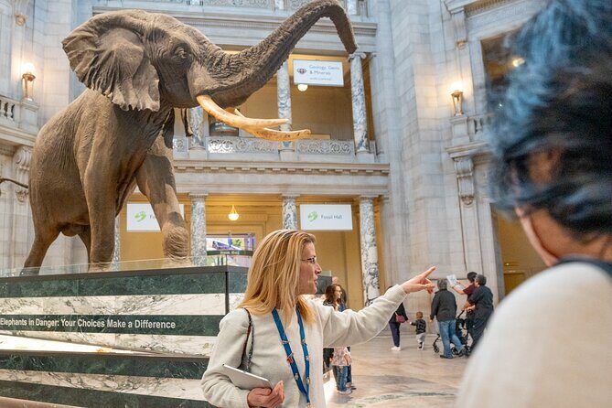 Smithsonian Natural History Museum Semi-Private Guided Tour - An In-Depth Look at the Experience