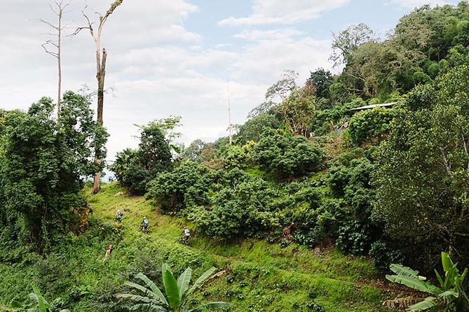 Smoke on the Water Trail Mountain Biking Tour Chiang Mai - Traveler Photos and Reviews
