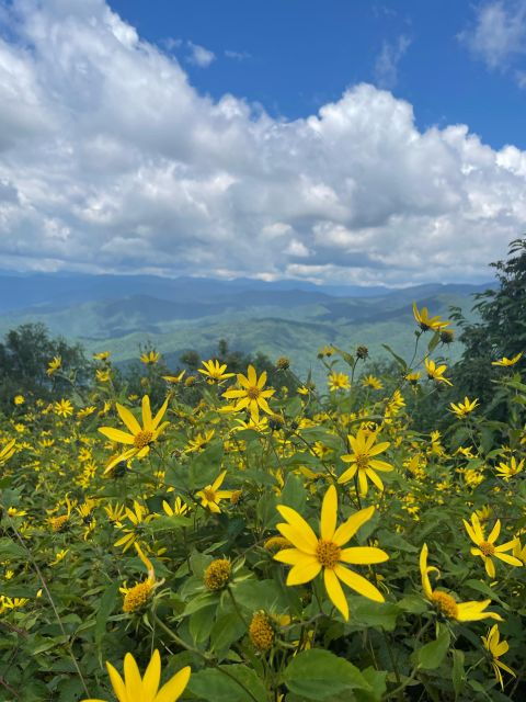 SMOKY MOUNTAIN & CHEROKEE UTV Eco ELK Wilderness Adventure - Inclusions and Equipment Provided