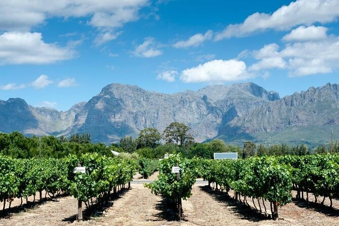 Smoky Mountains 3 Days or 7 Days Wine Tasting Pass - Pricing and Duration Options