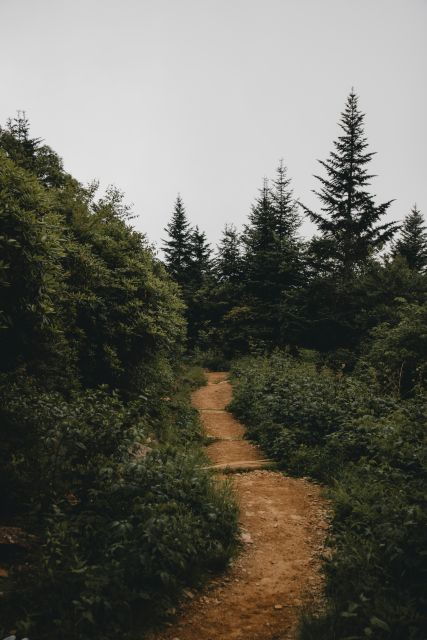 Smoky Mountains National Park: Private Full-Day Tour - Private Group Experience