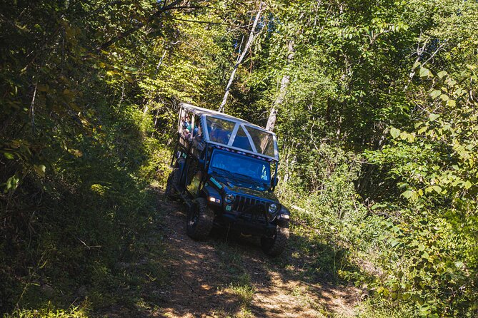 Smoky Mountains Newfound Gap Jeep Tour - Included in the Tour