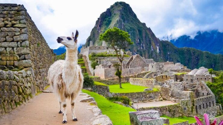 Smoll Group Inca Trail 2 Days - New Route to Machu Picchu - Good To Know